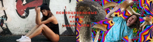 марки nbome Алексеевка